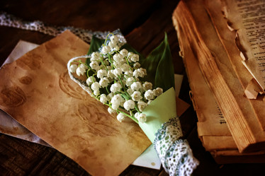 Similar image 13056345