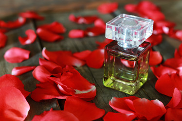 Similar image 13054538