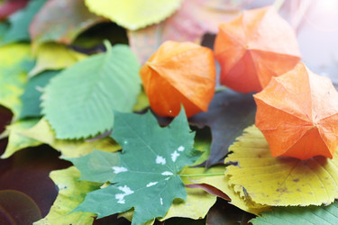 Similar image 13056007