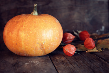 Similar image 13057025