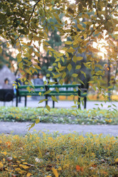 Similar image 13054362