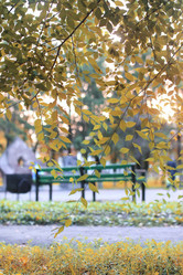 Similar image 13054382