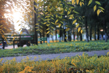 Similar image 13054423