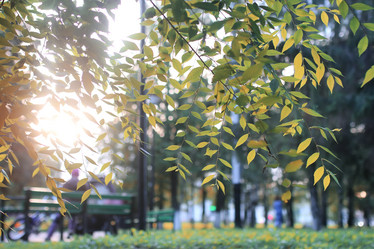 Similar image 13054441