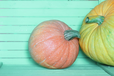 Similar image 13054539