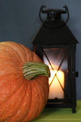 Similar image 13054619