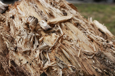 Similar image 13055673