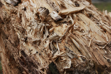 Similar image 13055892