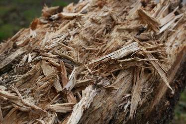 Similar image 13055893