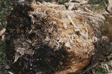 Similar image 13056008