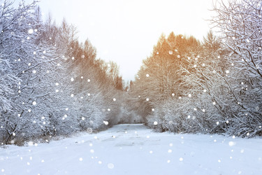 Similar image 13056388