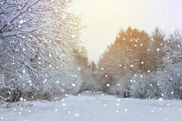 Similar image 13056426