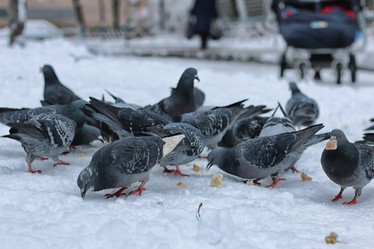 Similar image 13056783