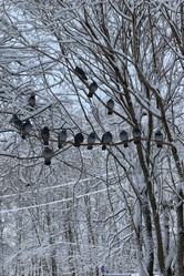 Similar image 13056867