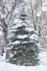 Similar image 13065081