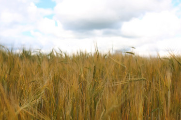 Similar image 13057462