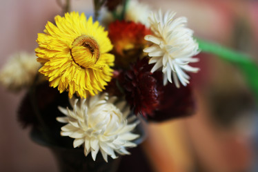 Similar image 13040317