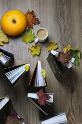 Similar image 13054978