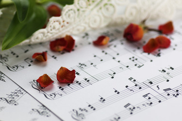 Similar image 13055197