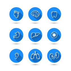 Similar image 13004411