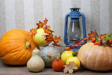 Similar image 13055079