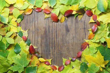 Similar image 13056646