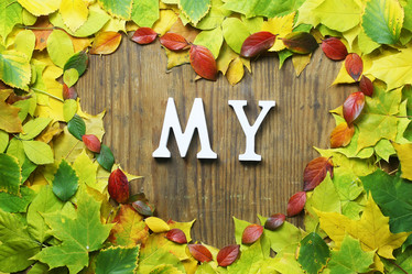 Similar image 13056706