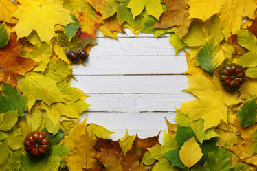 Similar image 13057542