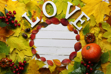 Similar image 13057463