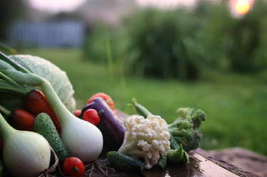 Similar image 13064723