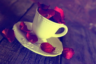 Similar image 13057089