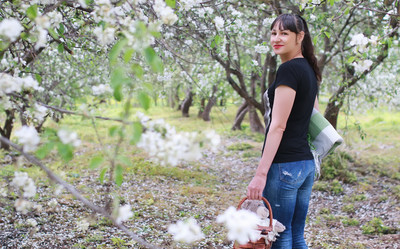 Similar image 13057624