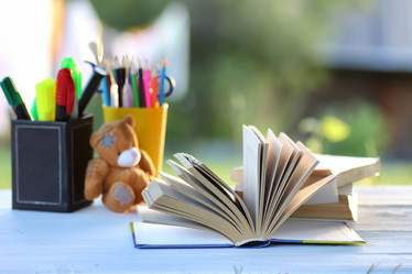 Similar image 13001699