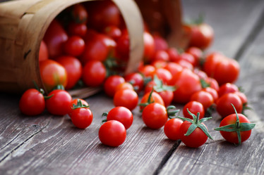 Similar image 13029427