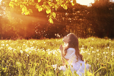 Similar image 13009376