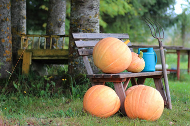 Similar image 13029468