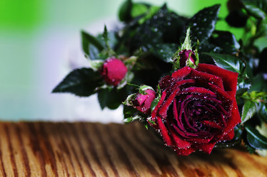 Similar image 13001742