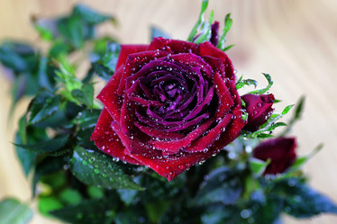 Similar image 13001820