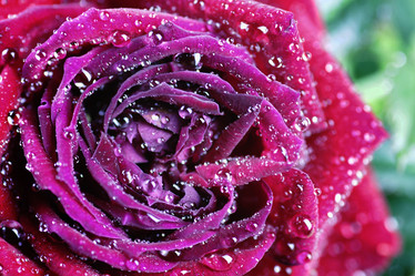 Similar image 13002186