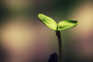 Similar image 13029188