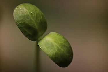 Similar image 13029229