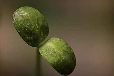 Similar image 13029249