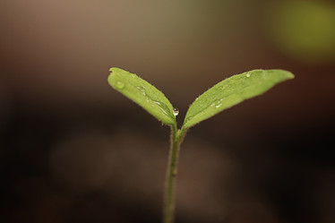 Similar image 13029271