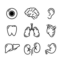 Similar image 13045417