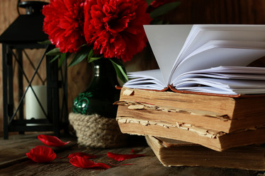 Similar image 13001821