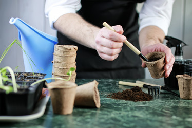 Similar image 13002203