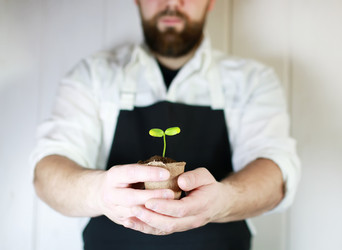 Similar image 13009896