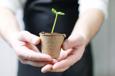 Similar image 13010036