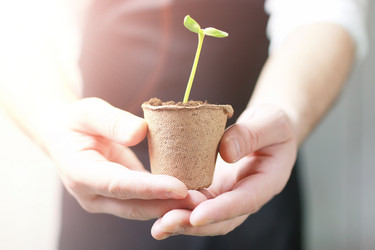 Similar image 13010037