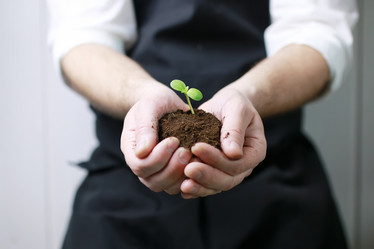 Similar image 13029128